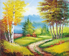 Load image into Gallery viewer, Beautiful Valley Paint by Numbers