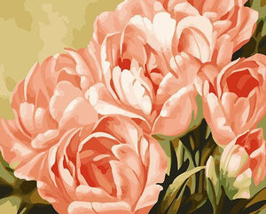 Blooming Roses Paint by Numbers