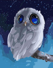 Load image into Gallery viewer, Cartoon Owl Paint by Numbers