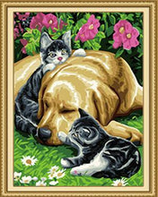 Load image into Gallery viewer, Cats & Dog Paint by Numbers