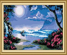 Load image into Gallery viewer, Full Moon Night Paint by Numbers