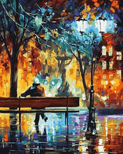Load image into Gallery viewer, Leonid's Lonely Nights Paint by Numbers