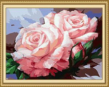 Load image into Gallery viewer, Pair of Roses Paint by Numbers