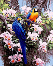 Load image into Gallery viewer, Parrots & Flowers Paint by Numbers