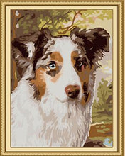 Load image into Gallery viewer, Sheltie Paint by Numbers