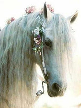 Load image into Gallery viewer, Stunning White Horse Paint by Diamonds