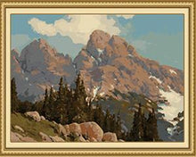 Load image into Gallery viewer, Trees & Mountains Paint by Numbers