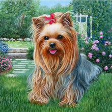 Load image into Gallery viewer, Yorkshire Terrier Paint by Diamonds