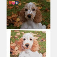 Load image into Gallery viewer, Custom Paint By Numbers Kit