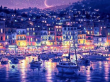 Load image into Gallery viewer, nightlife paint by numbers