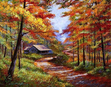 Load image into Gallery viewer, paint by numbers