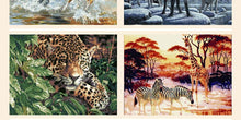 Load image into Gallery viewer, Framed Tigers, Horses, Wolves and Other Animal Paintings