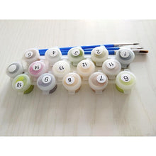 Load image into Gallery viewer, Pink White Flower DIY Painting By Numbers - A Unique Gift