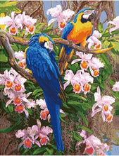Load image into Gallery viewer, Beautiful Macaw Parrots - Paint by Numbers