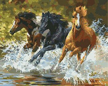 Load image into Gallery viewer, Framed Tigers, Horses, Wolves and Other Animal Paintings