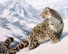 Load image into Gallery viewer, Framed Tigers, Horses, Wolves and Other Animal Paintings