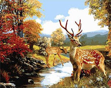Load image into Gallery viewer, Framed Tigers, Horses, Wolves and Other Animal Paintings