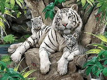 Load image into Gallery viewer, Framed Tigers, Horses, Wolves and Other Animal Paintings