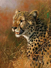 Load image into Gallery viewer, Framed Tigers, Horses, Wolves and Other Animal Paintings