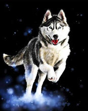 Load image into Gallery viewer, Framed Tigers, Horses, Wolves and Other Animal Paintings