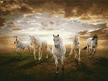 Load image into Gallery viewer, Framed Tigers, Horses, Wolves and Other Animal Paintings