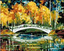 Load image into Gallery viewer, Random 20+ Stunning Paintings - Paint by Numbers DIY