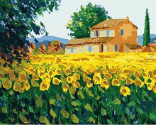 Load image into Gallery viewer, Random 20+ Stunning Paintings - Paint by Numbers DIY