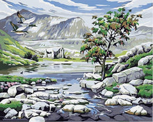 Load image into Gallery viewer, Random 20+ Stunning Paintings - Paint by Numbers DIY