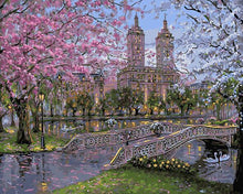 Load image into Gallery viewer, Random 20+ Stunning Paintings - Paint by Numbers DIY