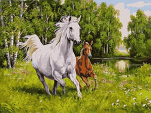 Load image into Gallery viewer, Beautiful Animal and Birds Painting - Paint by Numbers