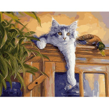 Load image into Gallery viewer, cat painting by numbers