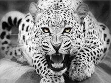 Load image into Gallery viewer, wild tiger paint by numbers