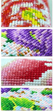 Load image into Gallery viewer, Princess Pony Diamond Painting Kit