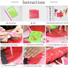 Load image into Gallery viewer, Princess Pony Diamond Painting Kit