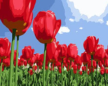 Load image into Gallery viewer, Framed Flower Paintings to be Painted by YOU - Paint by Numbers