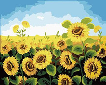 Load image into Gallery viewer, Framed Flower Paintings to be Painted by YOU - Paint by Numbers