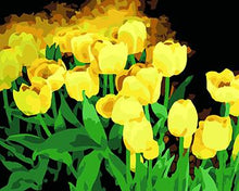 Load image into Gallery viewer, Framed Flower Paintings to be Painted by YOU - Paint by Numbers