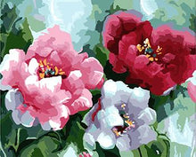 Load image into Gallery viewer, Framed Flower Paintings to be Painted by YOU - Paint by Numbers