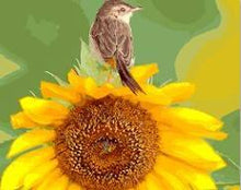 Load image into Gallery viewer, Framed Flower Paintings to be Painted by YOU - Paint by Numbers