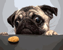 Load image into Gallery viewer, cute dog paint by numbers