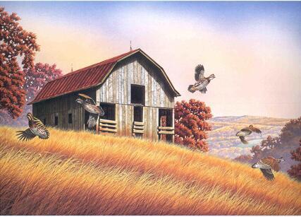 Wonderful Huts, Landscape and Flowers Paintings