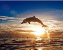 Load image into Gallery viewer, Jumping Dolphin in the Sunset Painting - Paint by Digits