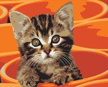 Load image into Gallery viewer, Cute little Cat in the Bucket Painting by Numbers