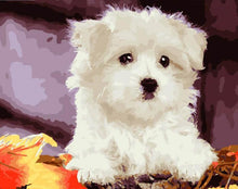 Load image into Gallery viewer, diamond painting kit