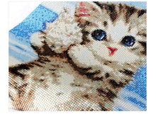 Load image into Gallery viewer, Cute Cats