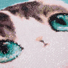 Load image into Gallery viewer, Cute Little Cat