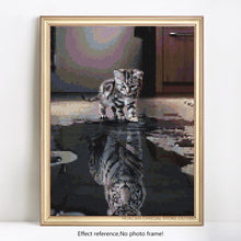 Load image into Gallery viewer, Illusion or Optimism?