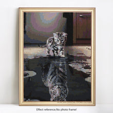 Load image into Gallery viewer, Cat in the Mirror