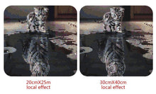 Load image into Gallery viewer, Cat in the Mirror