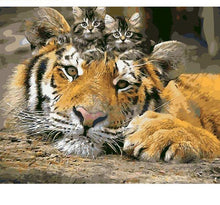 Load image into Gallery viewer, Kittens on the Tiger Painting - DIY Paint by Numbers